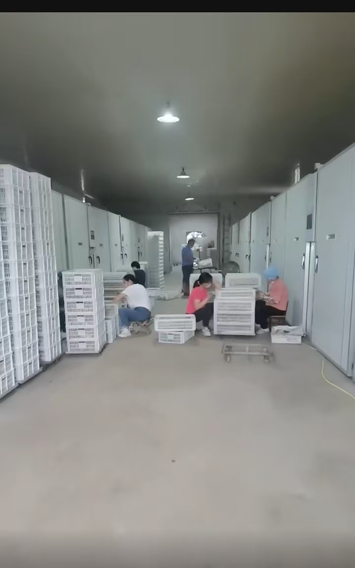 扬州宏盛水产科技有限公司